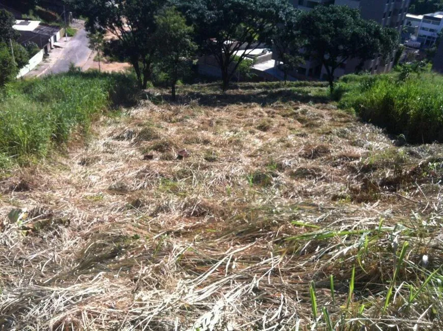 Foto 1 de Lote/Terreno à venda, 1019m² em Buritis, Belo Horizonte