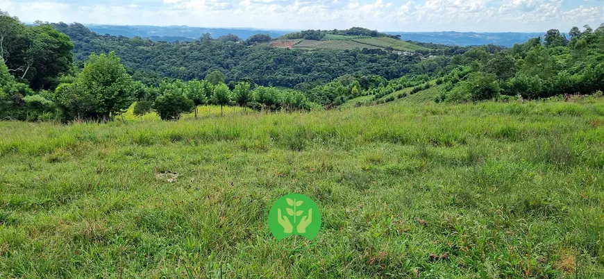 Foto 1 de Fazenda/Sítio à venda, 68000m² em Centro, Monte Belo do Sul