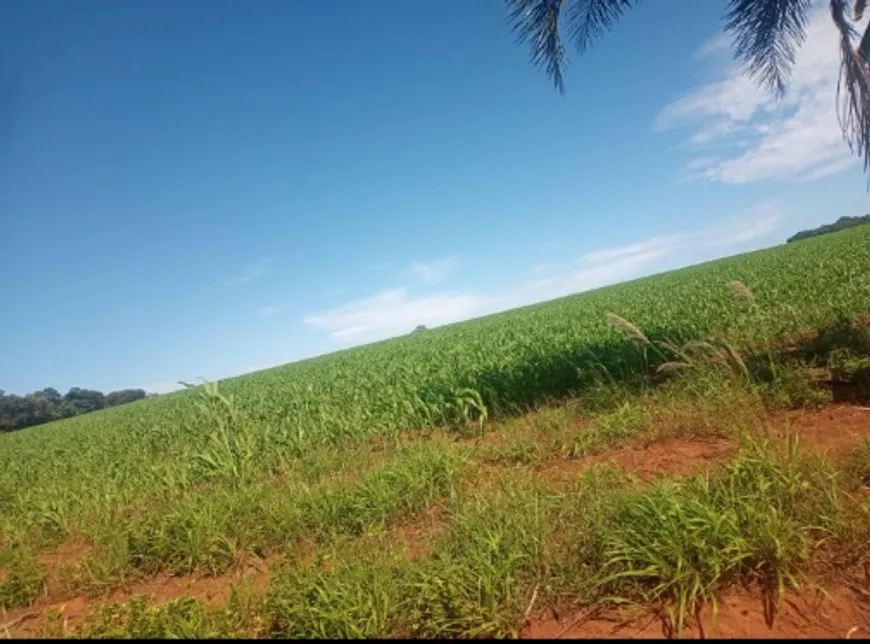 Foto 1 de Fazenda/Sítio à venda em Zona Rural, Santa Cruz de Goiás