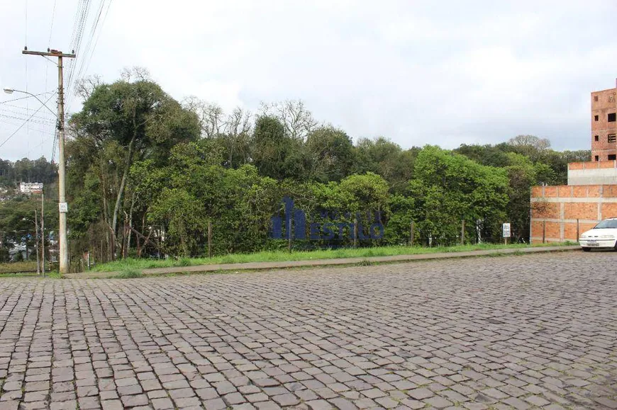 Foto 1 de Lote/Terreno à venda, 360m² em Parque dos Vinhedos, Caxias do Sul