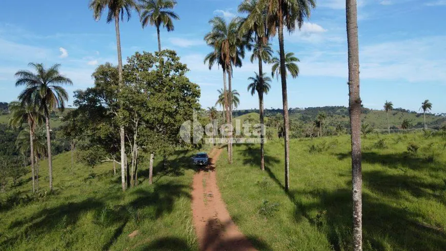 Foto 1 de Fazenda/Sítio à venda, 74844m² em Area Rural de Uberlandia, Uberlândia