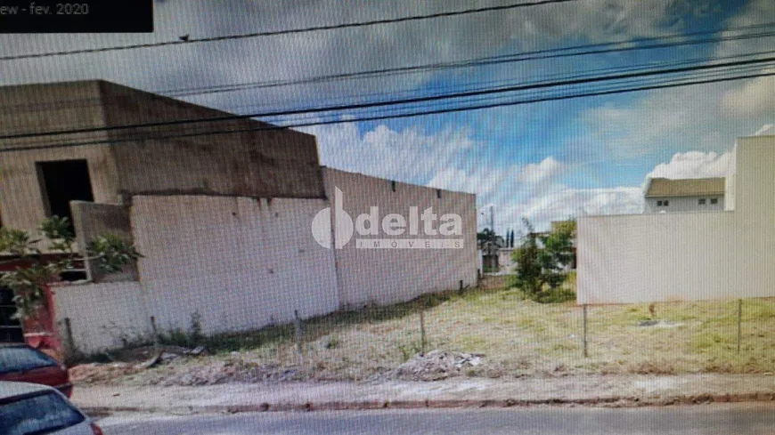 Foto 1 de Lote/Terreno para alugar, 250m² em Alto Umuarama, Uberlândia