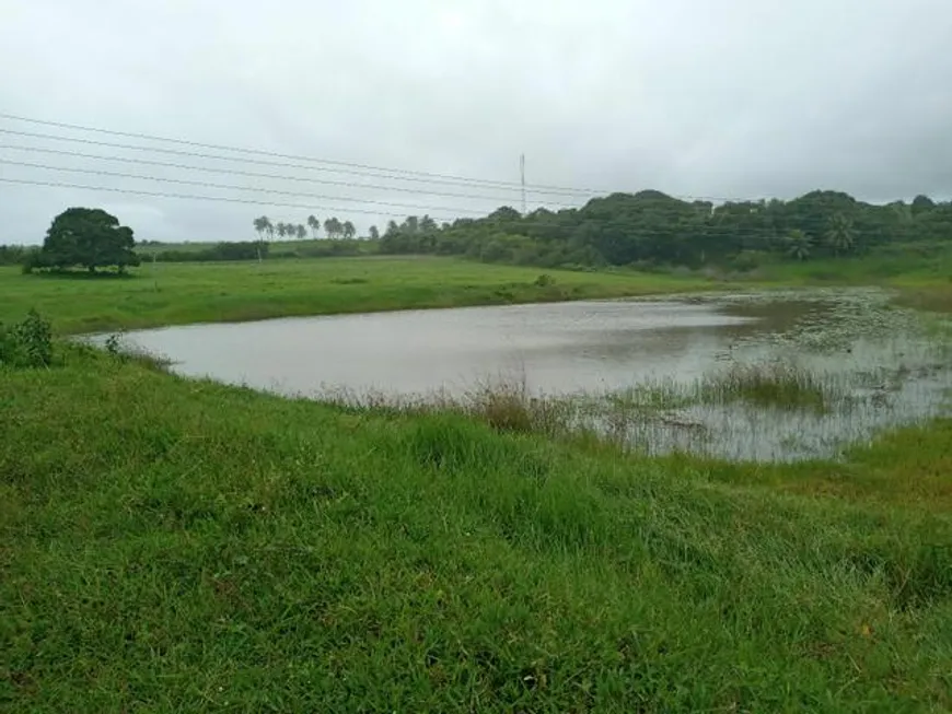 Foto 1 de Fazenda/Sítio com 3 Quartos à venda, 11000m² em Monte Alegre, Monte Alegre