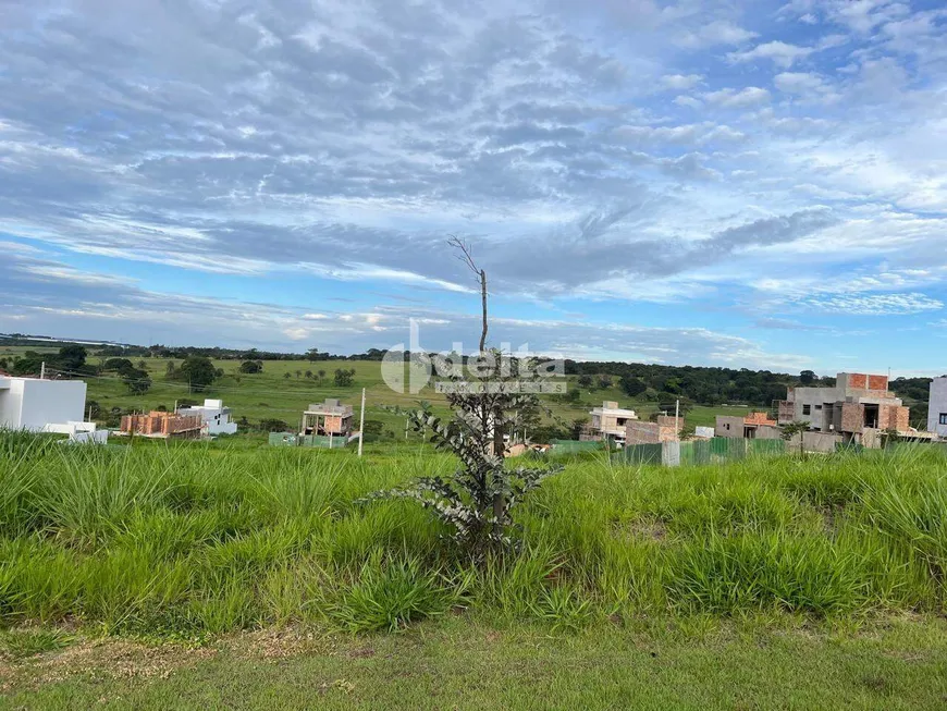 Foto 1 de Lote/Terreno à venda, 310m² em Granja Marileusa , Uberlândia