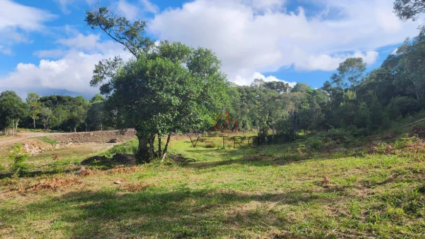 Foto 1 de Lote/Terreno à venda, 800m² em Mato Queimado, Gramado