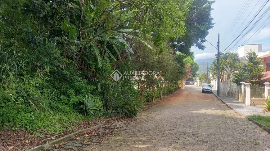 Foto 1 de Lote/Terreno à venda, 417m² em Trindade, Florianópolis