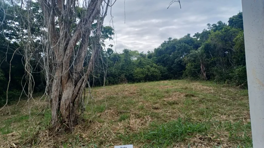 Foto 1 de Lote/Terreno à venda, 1000m² em Praia Rasa, Armação dos Búzios