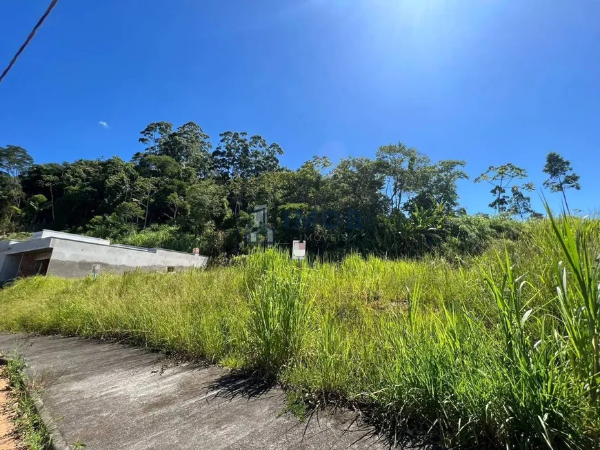 Foto 1 de Lote/Terreno à venda, 351m² em Ilha da Figueira, Jaraguá do Sul