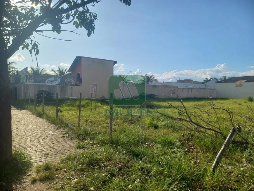 Foto 1 de Lote/Terreno com 1 Quarto para alugar, 496m² em Alto Umuarama, Uberlândia