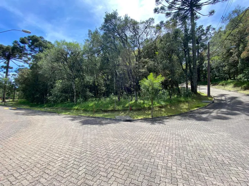 Foto 1 de Lote/Terreno à venda, 915m² em Pinheiro Grosso, Canela