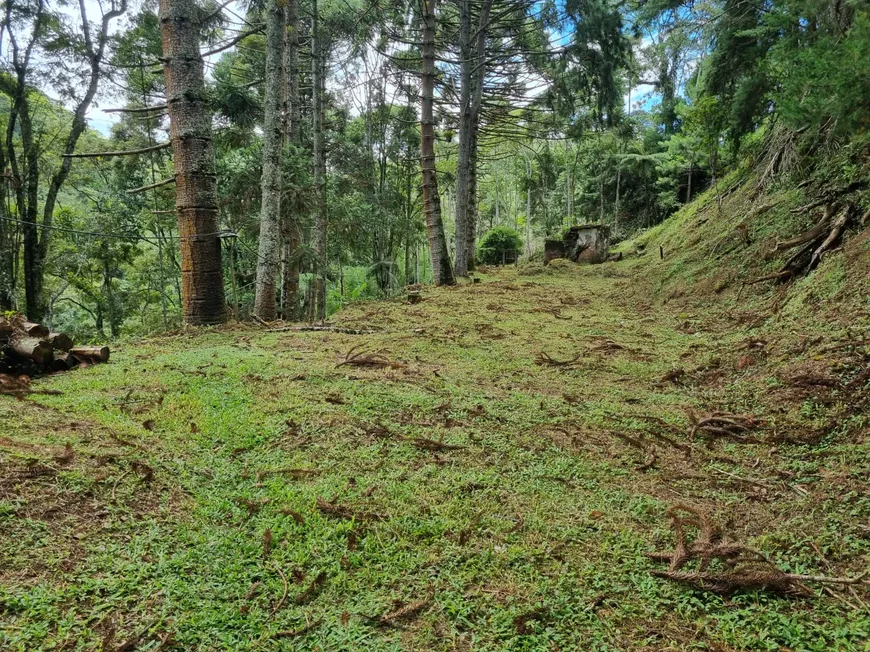 Foto 1 de Lote/Terreno à venda, 1800m² em Mury, Nova Friburgo