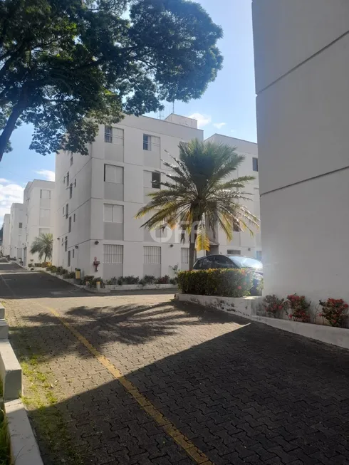 Foto 1 de Apartamento com 2 Quartos à venda, 57m² em Jardim Campos Elíseos, Campinas