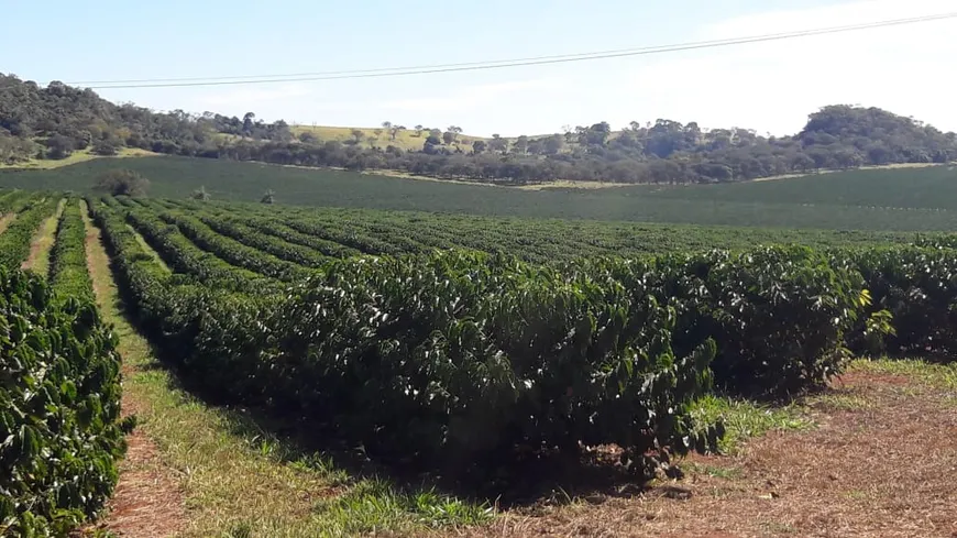 Foto 1 de Fazenda/Sítio com 3 Quartos à venda, 85m² em Area Rural de Franca, Franca