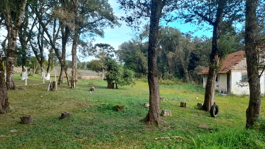 Foto 1 de Fazenda/Sítio com 2 Quartos à venda, 6000m² em Zona Rural, Tijucas do Sul