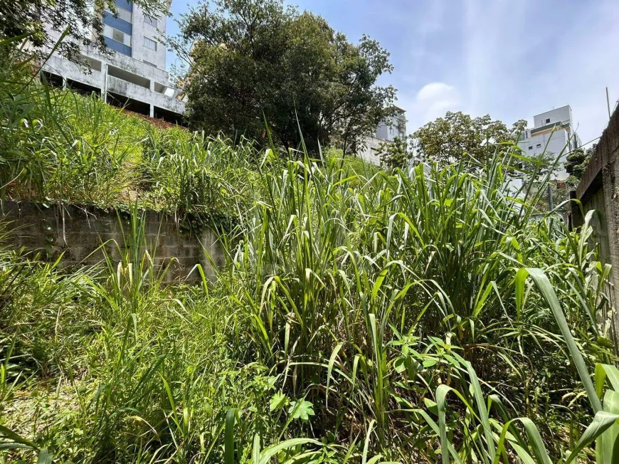 Foto 1 de Lote/Terreno à venda, 765m² em Ouro Preto, Belo Horizonte