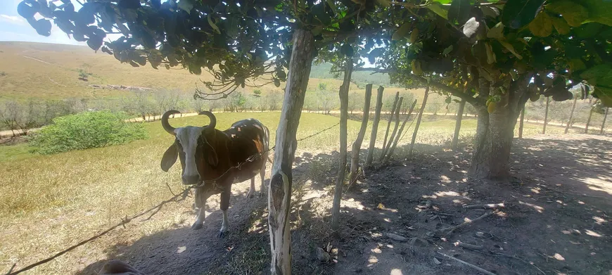 Foto 1 de Fazenda/Sítio com 3 Quartos à venda, 800m² em Zona Rural, Capela