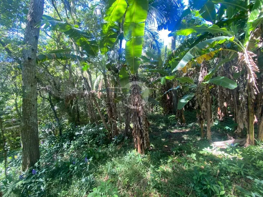 Foto 1 de Lote/Terreno à venda, 6800m² em Pantanal, Florianópolis