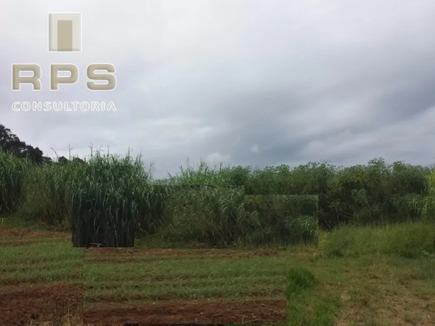 Foto 1 de Lote/Terreno à venda, 31000m² em Rio Abaixo, Atibaia