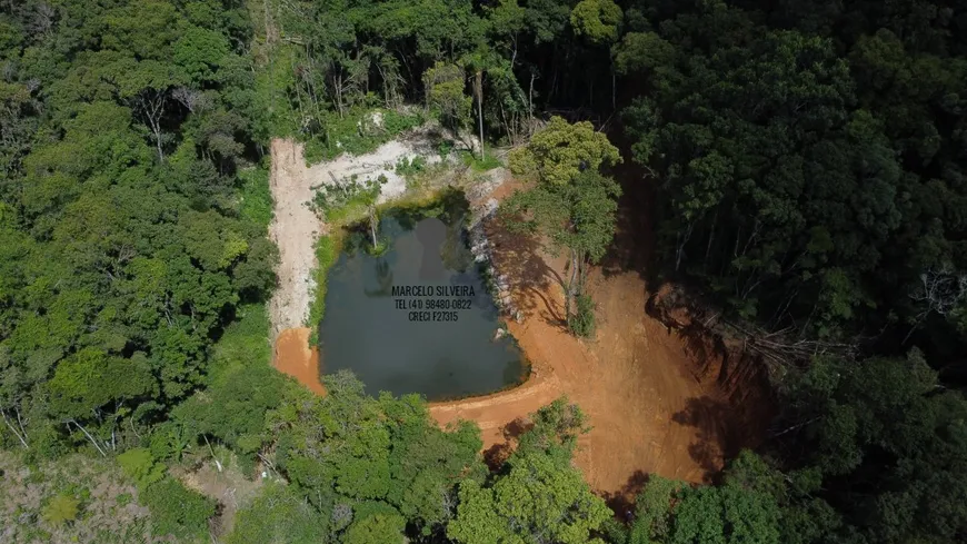 Foto 1 de Fazenda/Sítio com 1 Quarto à venda, 20000m² em Centro, Bocaiúva do Sul