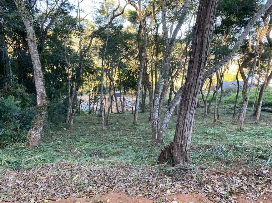 Foto 1 de Lote/Terreno à venda, 1358m² em Novo Horizonte, Juiz de Fora