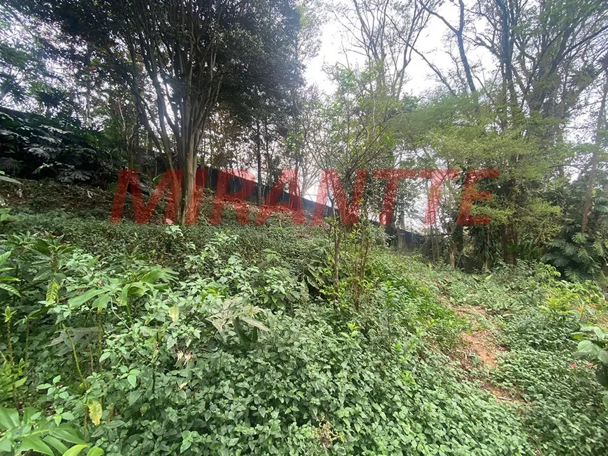 Foto 1 de Lote/Terreno à venda, 454m² em Jardim Ibiratiba, São Paulo