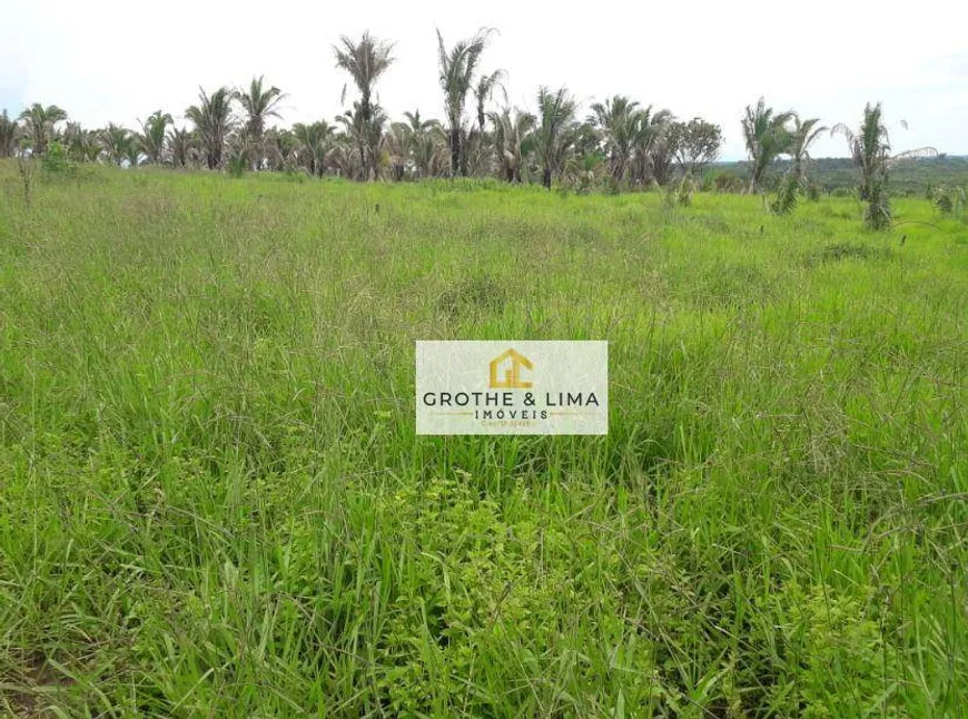 Foto 1 de Fazenda/Sítio com 10 Quartos à venda, 800m² em Zona Rural, Recursolândia