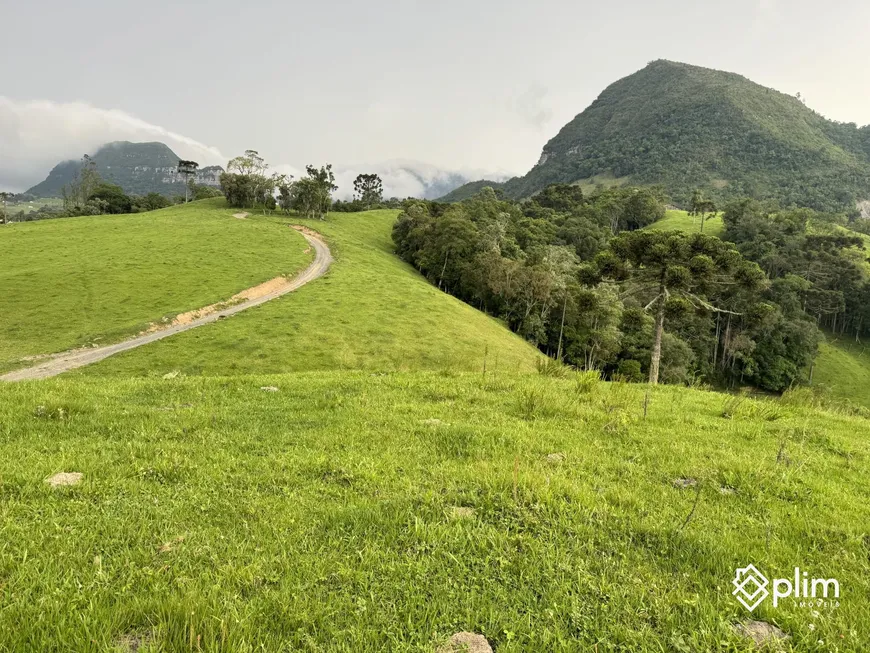 Foto 1 de Fazenda/Sítio com 1 Quarto à venda, 34000m² em , Alfredo Wagner