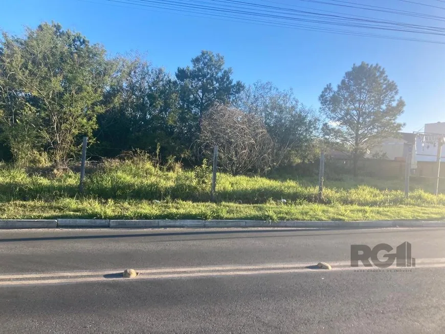 Foto 1 de Lote/Terreno à venda, 1m² em Sitio Gaucho, Gravataí