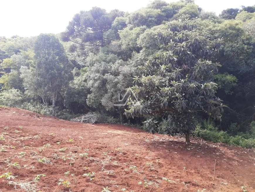 Foto 1 de Fazenda/Sítio à venda, 30000m² em São Cristovão, Passo Fundo