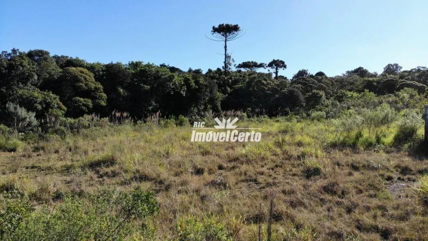 Foto 1 de Lote/Terreno à venda, 22621m² em Cidade Industrial, Curitiba