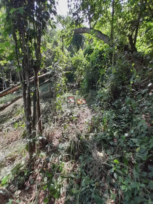 Foto 1 de Lote/Terreno à venda, 2650m² em , Ilhabela