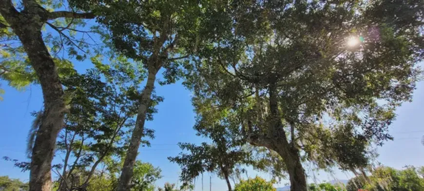 Foto 1 de Fazenda/Sítio com 3 Quartos à venda, 100m² em Pirabeiraba Pirabeiraba, Joinville