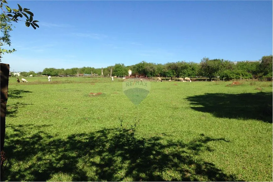 Foto 1 de Lote/Terreno à venda, 5040m² em Chacaras Reunidas Anhanguera, Nova Odessa