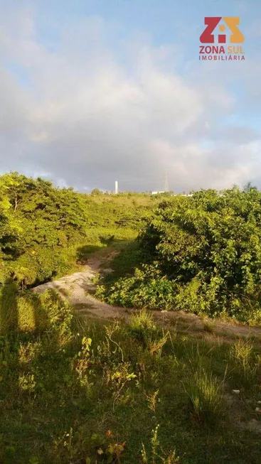 Foto 1 de Fazenda/Sítio com 3 Quartos à venda, 4777m² em Centro, Conde