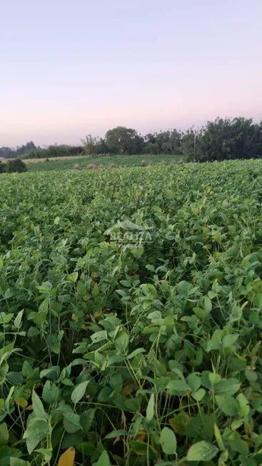 Foto 1 de Fazenda/Sítio à venda, 70000m² em Glorinha, Glorinha