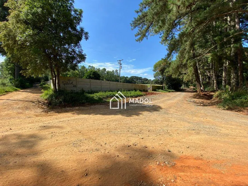 Foto 1 de Fazenda/Sítio com 2 Quartos à venda, 35m² em Colonia Dona Luiza, Ponta Grossa