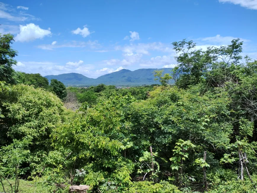 Foto 1 de Lote/Terreno à venda, 88000m² em Guabiraba, Maranguape