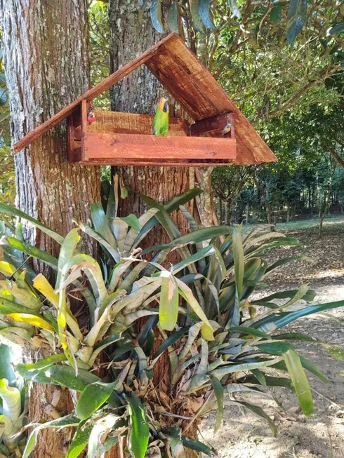 Foto 1 de Fazenda/Sítio com 4 Quartos à venda, 6000m² em Centro, Piraí