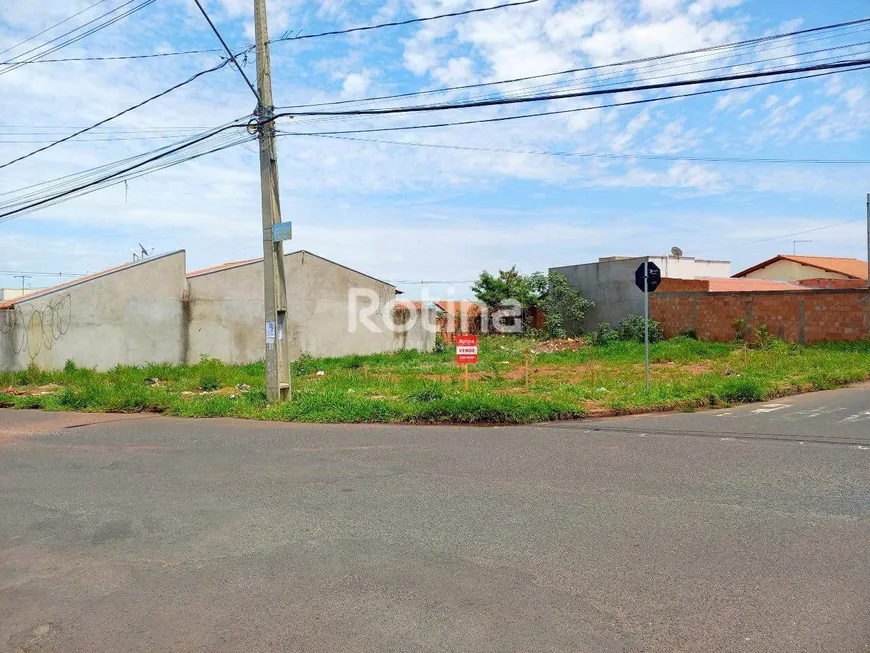 Foto 1 de Lote/Terreno à venda, 256m² em Shopping Park, Uberlândia