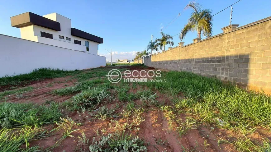 Foto 1 de Lote/Terreno à venda, 644m² em Shopping Park, Uberlândia