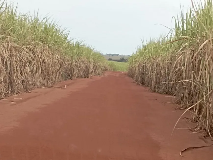 Foto 1 de Fazenda/Sítio à venda, 242000m² em Centro, Teodoro Sampaio