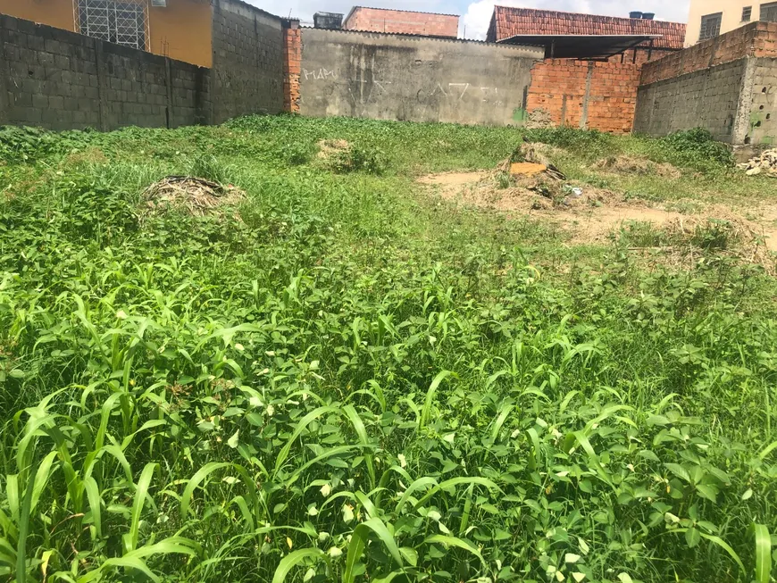 Foto 1 de Lote/Terreno à venda, 730m² em Parque Turistas, Contagem