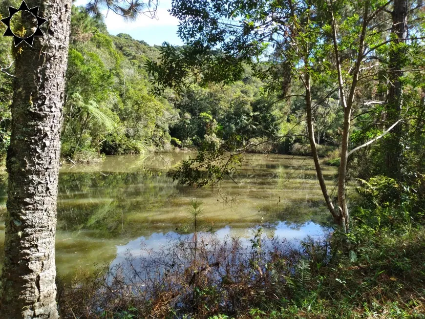 Foto 1 de Fazenda/Sítio com 3 Quartos à venda, 250m² em Ibiuna, Ibiúna