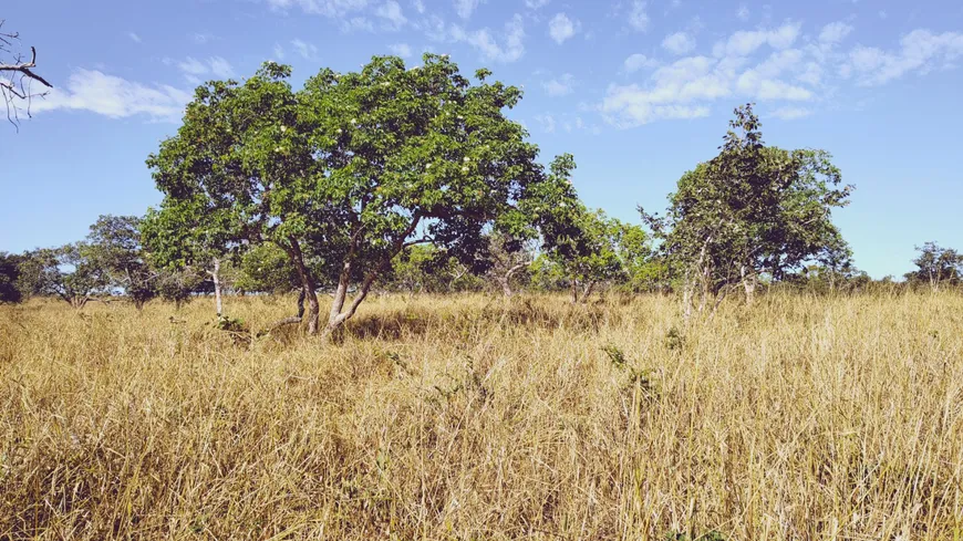 Foto 1 de Fazenda/Sítio com 3 Quartos à venda, 120m² em Zona Rural, Mirabela