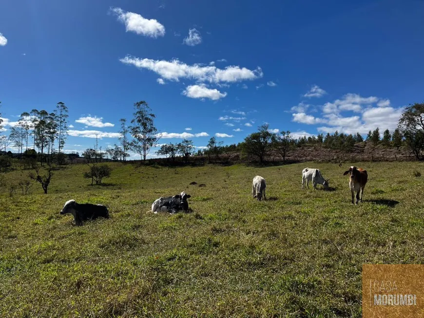 Foto 1 de Fazenda/Sítio com 2 Quartos à venda, 92000m² em , Pilar do Sul