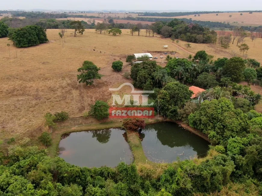 Foto 1 de Fazenda/Sítio à venda, 26m² em Zona Rural, Piracanjuba