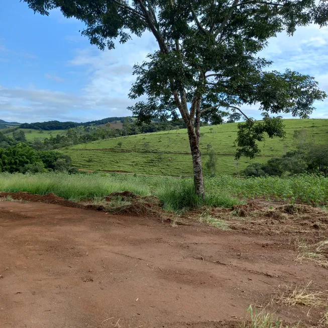 Foto 1 de Fazenda/Sítio à venda, 1000m² em Centro, Crucilândia