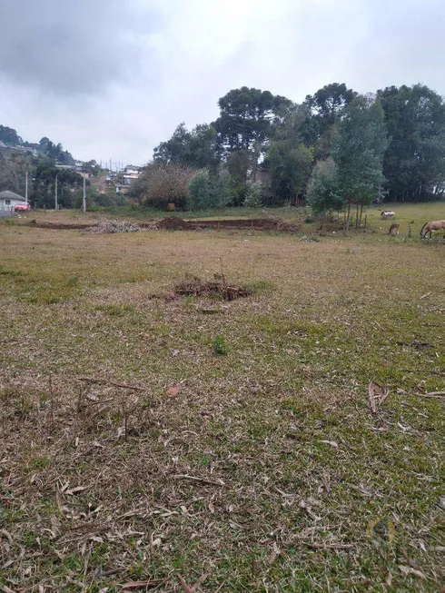 Foto 1 de Lote/Terreno à venda, 360m² em Carobá, Lages