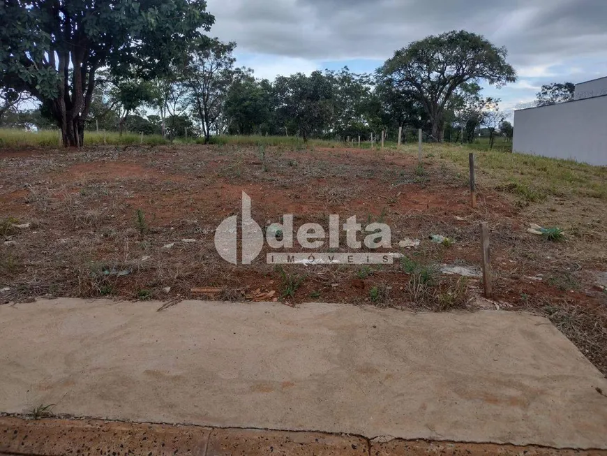 Foto 1 de Lote/Terreno à venda, 360m² em Jardim Inconfidência, Uberlândia