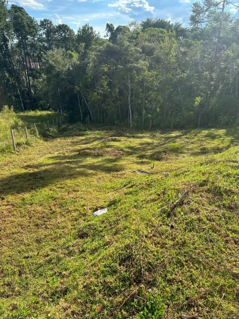 Foto 1 de Lote/Terreno à venda, 1124m² em Vale Encantado, Campos do Jordão